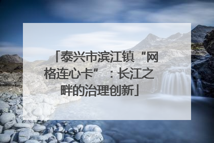 泰兴市滨江镇“网格连心卡”：长江之畔的治理创新