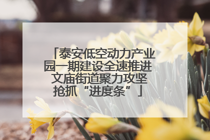 泰安低空动力产业园一期建设全速推进 文庙街道聚力攻坚抢抓“进度条”