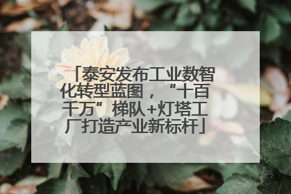 泰安发布工业数智化转型蓝图，“十百千万”梯队+灯塔工厂打造产业新标杆