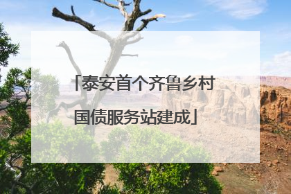 泰安首个齐鲁乡村国债服务站建成