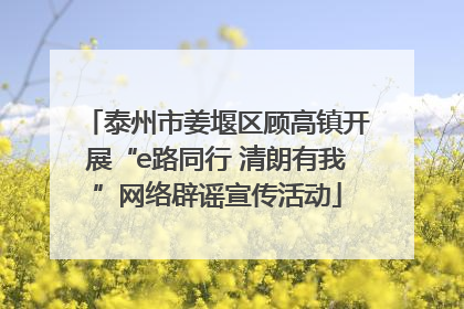 泰州市姜堰区顾高镇开展“e路同行 清朗有我”网络辟谣宣传活动