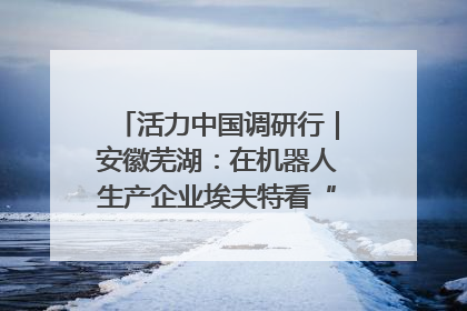 活力中国调研行｜安徽芜湖：在机器人生产企业埃夫特看“中国智造”