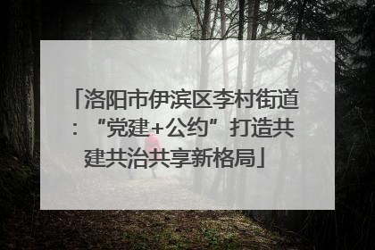 洛阳市伊滨区李村街道：“党建+公约”打造共建共治共享新格局