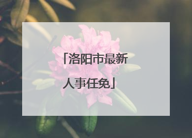 洛阳市最新人事任免