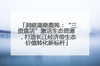 洞庭湖麋鹿苑：“三资盘活”激活生态资源，打造长江经济带生态价值转化新标杆