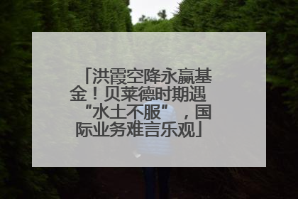 洪霞空降永赢基金！贝莱德时期遇“水土不服”，国际业务难言乐观