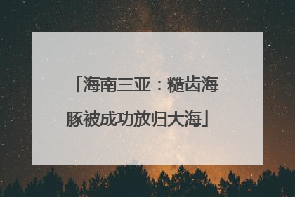 海南三亚：糙齿海豚被成功放归大海