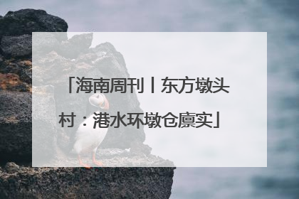 海南周刊丨东方墩头村：港水环墩仓廪实