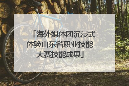 海外媒体团沉浸式体验山东省职业技能大赛技能成果