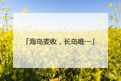 海岛麦收，长岛唯一