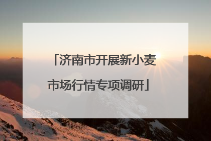 济南市开展新小麦市场行情专项调研