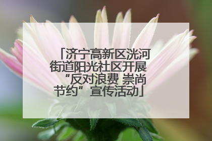 济宁高新区洸河街道阳光社区开展“反对浪费 崇尚节约”宣传活动