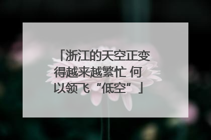 浙江的天空正变得越来越繁忙 何以领飞“低空”