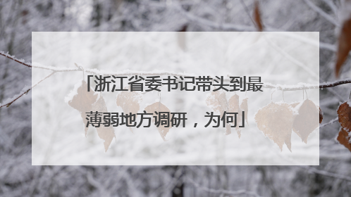 浙江省委书记带头到最薄弱地方调研，为何