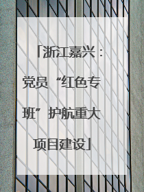 浙江嘉兴：党员“红色专班”护航重大项目建设