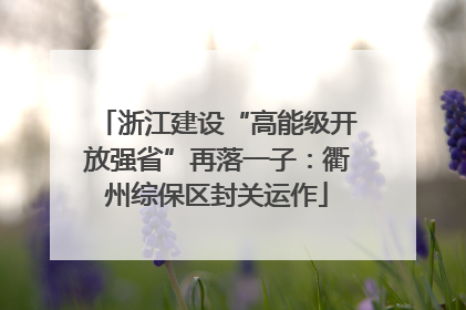 浙江建设“高能级开放强省”再落一子：衢州综保区封关运作