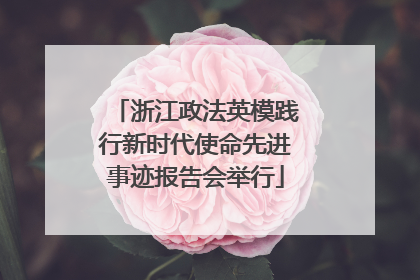 浙江政法英模践行新时代使命先进事迹报告会举行