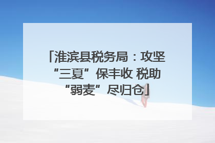淮滨县税务局：攻坚“三夏”保丰收 税助“弱麦”尽归仓