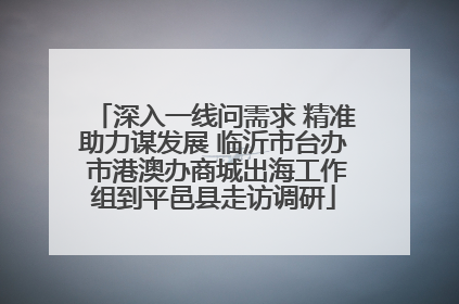 深入一线问需求 精准助力谋发展 临沂市台办 市港澳办商城出海工作组到平邑县走访调研