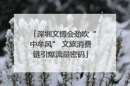 深圳文博会劲吹“中牟风” 文旅消费链引爆流量密码
