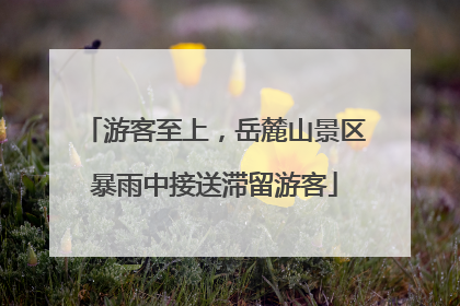 游客至上，岳麓山景区暴雨中接送滞留游客
