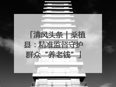 清风头条｜桑植县：精准监督守护群众“养老钱”
