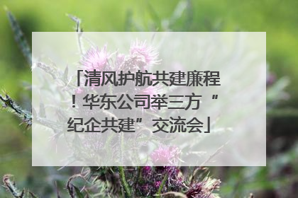 清风护航共建廉程！华东公司举三方“纪企共建”交流会