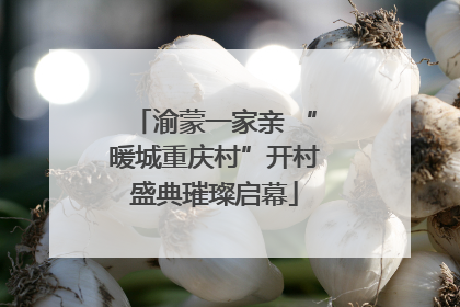 渝蒙一家亲 “暖城重庆村”开村盛典璀璨启幕