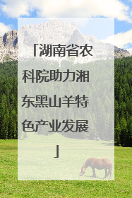 湖南省农科院助力湘东黑山羊特色产业发展