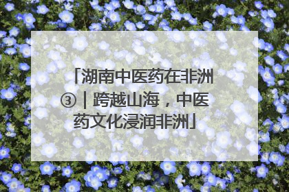 湖南中医药在非洲③｜跨越山海，中医药文化浸润非洲