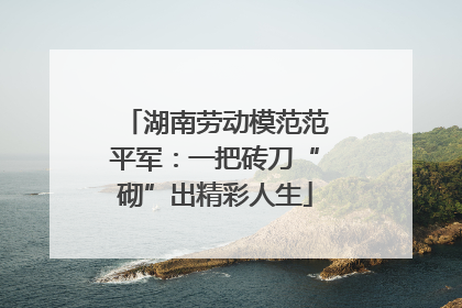 湖南劳动模范范平军：一把砖刀“砌”出精彩人生