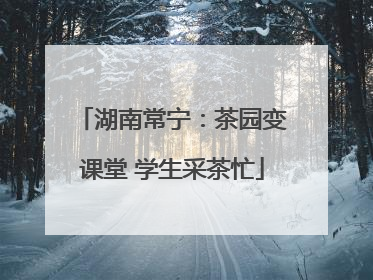 湖南常宁：茶园变课堂 学生采茶忙
