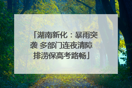 湖南新化：暴雨突袭 多部门连夜清障排涝保高考路畅