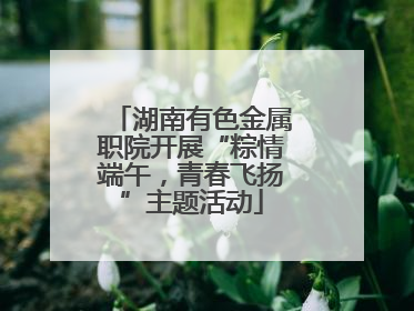 湖南有色金属职院开展“粽情端午，青春飞扬”主题活动