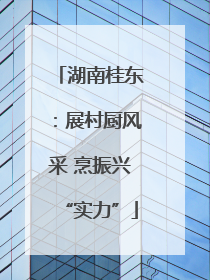 湖南桂东：展村厨风采 烹振兴“实力”