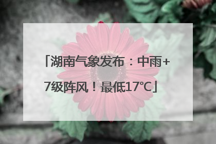 湖南气象发布：中雨+7级阵风！最低17℃