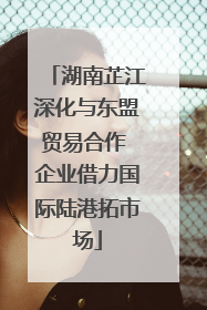湖南芷江深化与东盟贸易合作 企业借力国际陆港拓市场