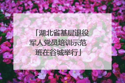 湖北省基层退役军人党员培训示范班在谷城举行