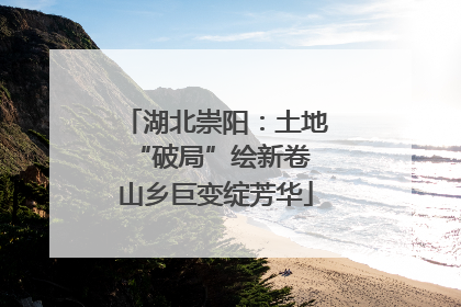 湖北崇阳：土地“破局”绘新卷 山乡巨变绽芳华