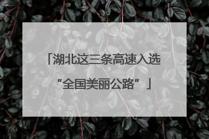 湖北这三条高速入选“全国美丽公路”