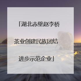 湖北赤壁赵李桥茶业创建民族团结进步示范企业
