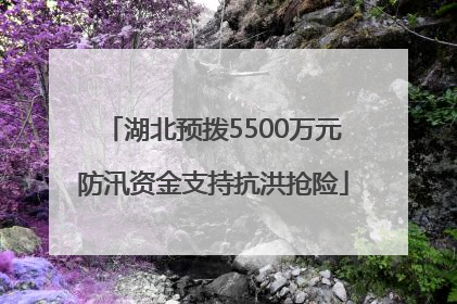湖北预拨5500万元防汛资金支持抗洪抢险