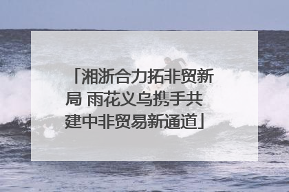 湘浙合力拓非贸新局 雨花义乌携手共建中非贸易新通道