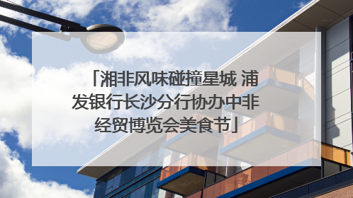 湘非风味碰撞星城 浦发银行长沙分行协办中非经贸博览会美食节