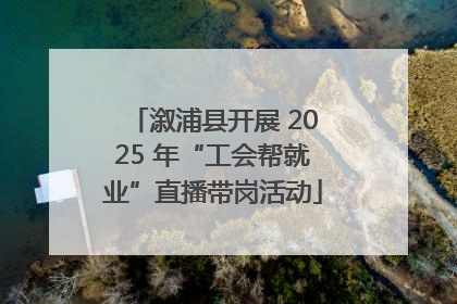 溆浦县开展 2025 年“工会帮就业”直播带岗活动