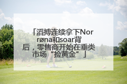 滔搏连续拿下Norrøna和soar背后，零售商开始在垂类市场“捡黄金”