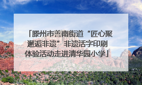 滕州市善南街道“匠心聚 邂逅非遗”非遗活字印刷体验活动走进清华园小学