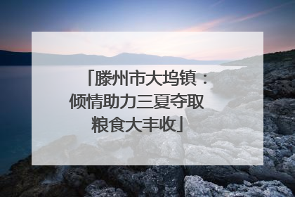 滕州市大坞镇：倾情助力三夏夺取粮食大丰收