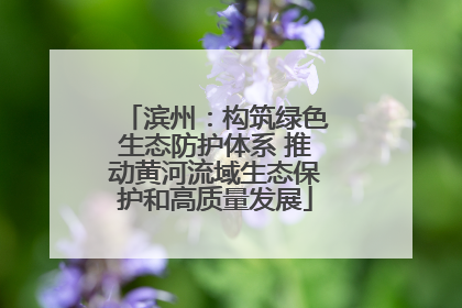滨州：构筑绿色生态防护体系 推动黄河流域生态保护和高质量发展
