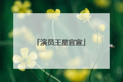 演员王星官宣